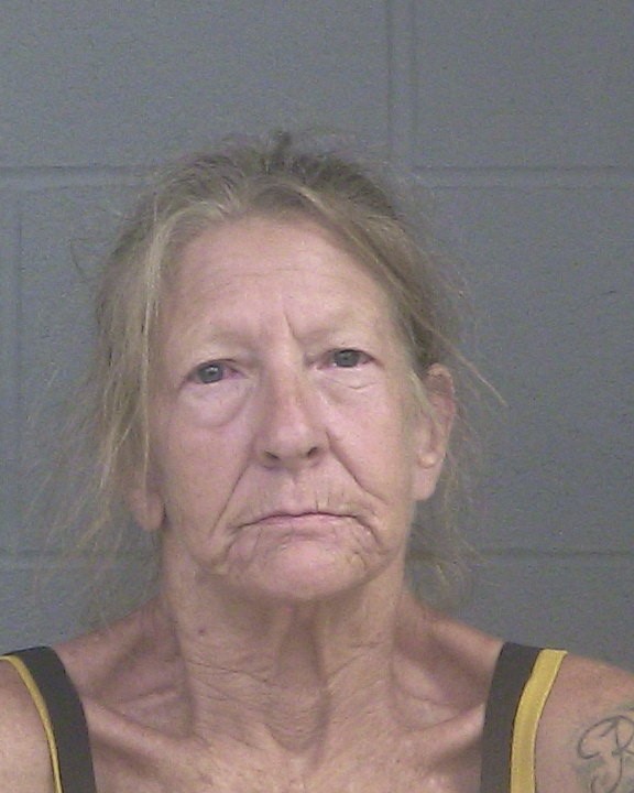 PASSEY, GWYN ANN mugshot