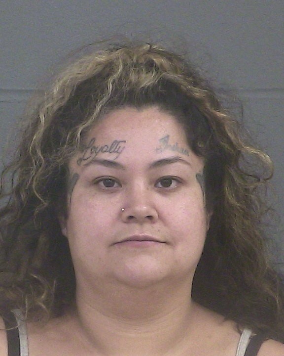 DOWNEY, AUNNA MARIA mugshot