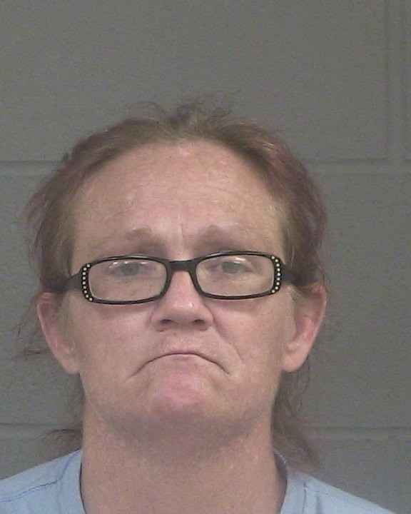 DORNBUSH, CANDICE ELAINE mugshot