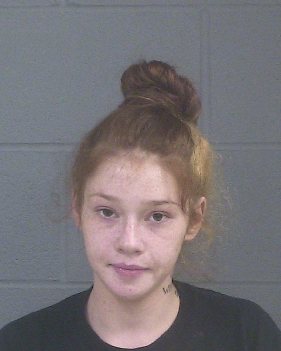 MEEKS, BREANNA ELIZABETH mugshot