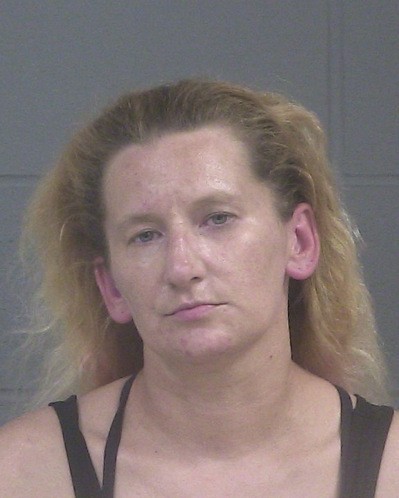 DICK, LISA ANN mugshot