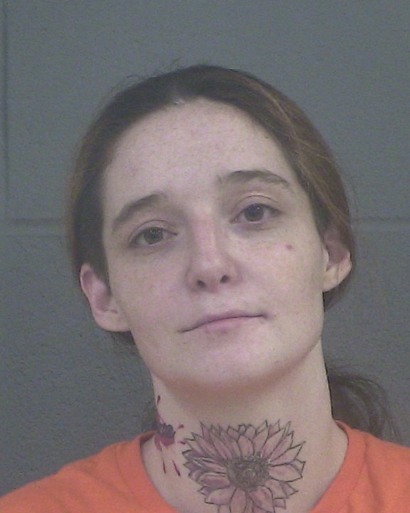 HAYES, ARIANNA GABRIEL mugshot